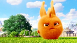 انیمیشن سانی بانیز قسمت 259 - sunny bunnies